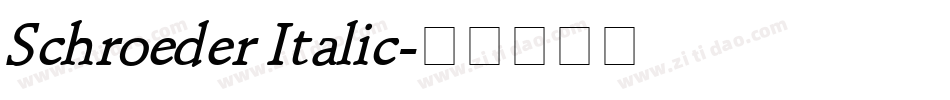 Schroeder Italic字体转换